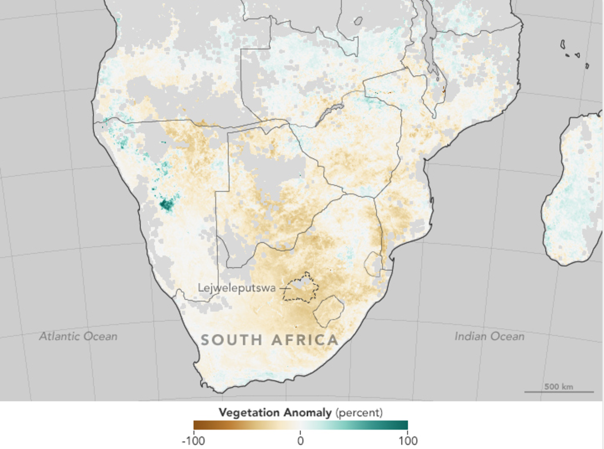 Vegetation anomaly in southern Africa, December 2015. (Map: Jesse Allen and Joshua Stevens/NASA Earth Observatory)