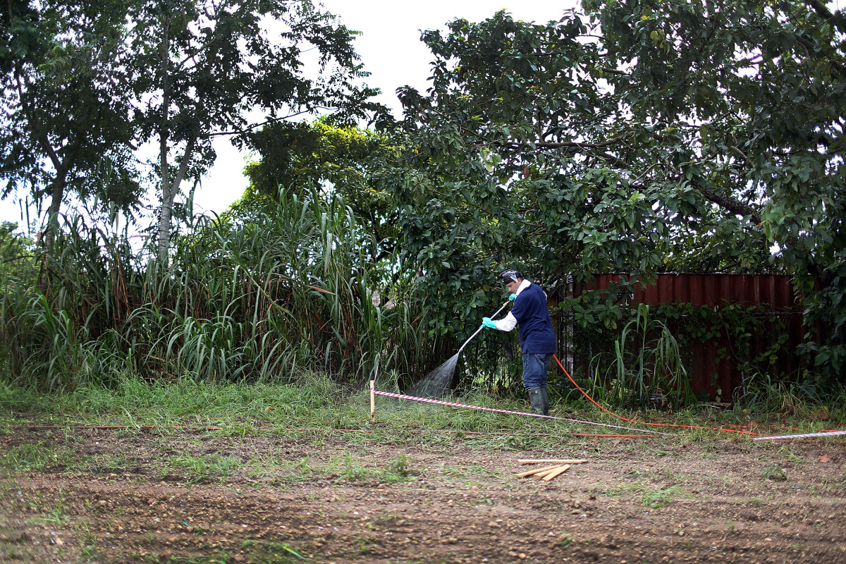 Spraying an insecticide  under an avocado tree in Homestead, Florida. (Photo: Joe Raedle/Getty Images)