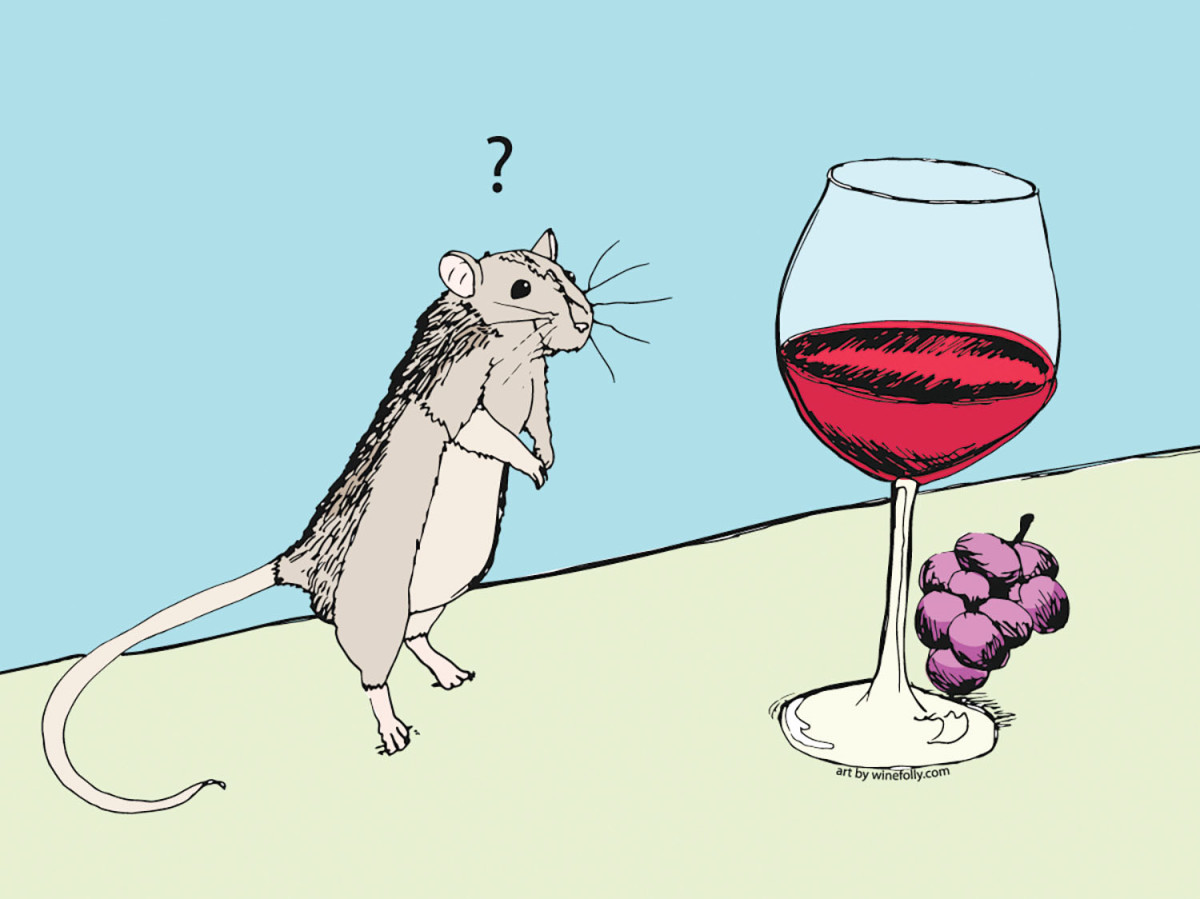 (Illustration: winefolly.com)