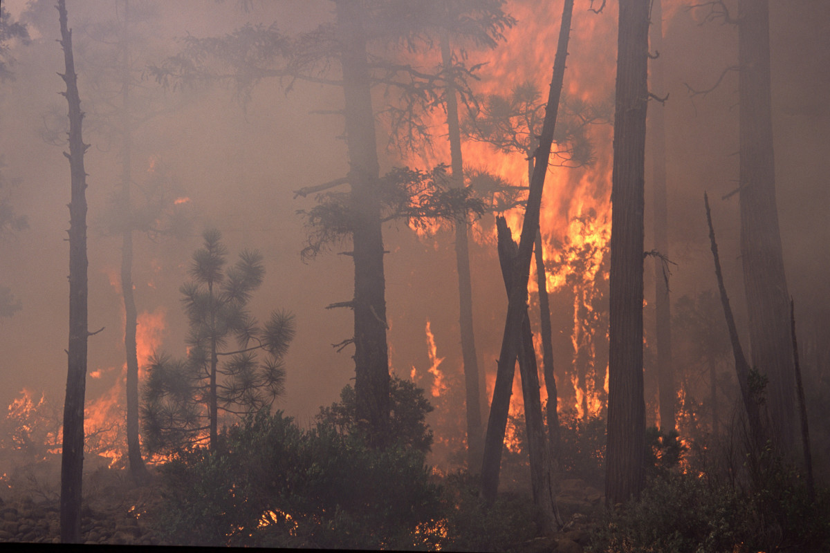 Wildfire in the Pacific Northwest. (Photo: Bureau of Land Management Oregon and Washington/Flickr)