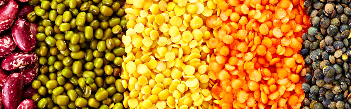 Legumes. (Photo: baibaz/Shutterstock)