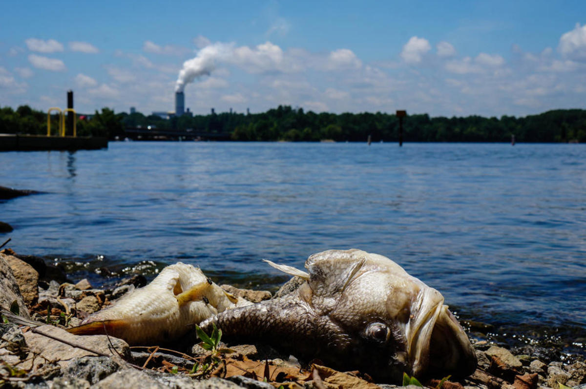 WaterPollution Rules for Power Plants Need an Update, Too