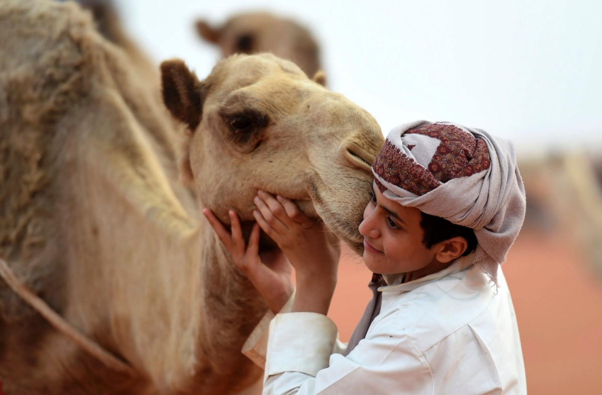 A Saudi boy poses with a camel at the annual King Abdulaziz Camel Festival in Rumah on March 29th, 2017. (Photo: Fayez Nureldine/AFP/Getty Images)