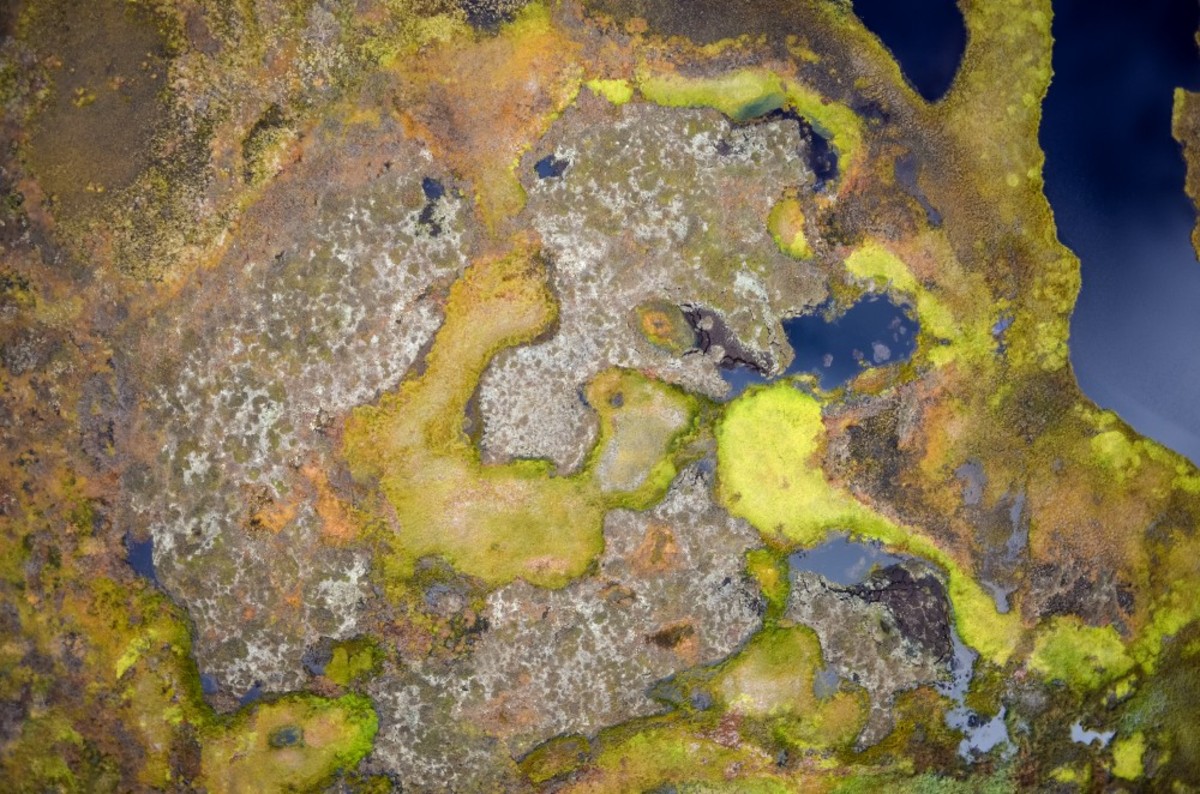 Drone photography helps researchers in Norway track thawing permafrost from above. (Photo: Sebastian Westermann/University of Leeds)