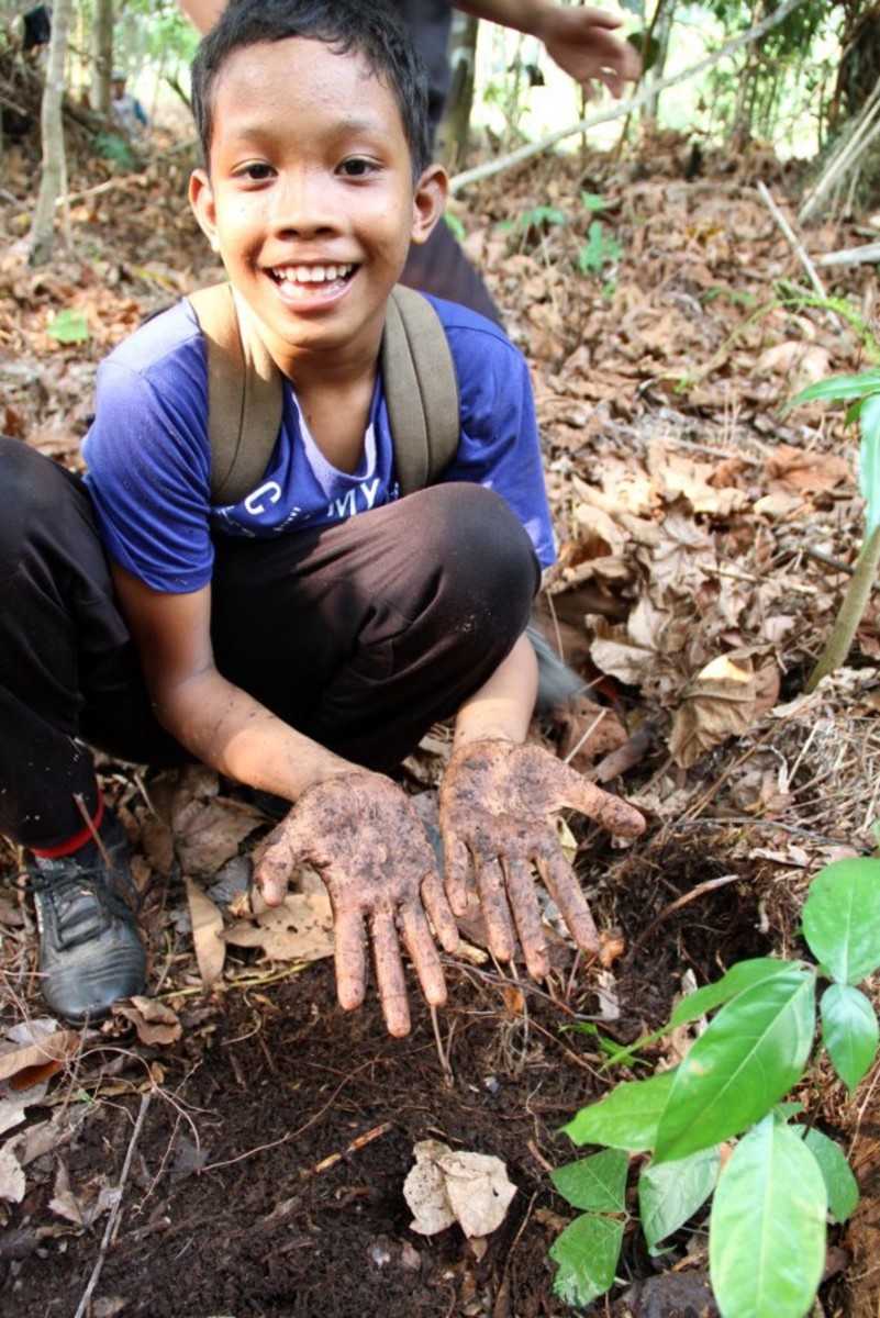 A member of the ASRI Kids program plants a seedling in a reforestation site. ASRI Kids is a conservation and health education project that is raising awareness about local biodiversity and the links between human and environmental health. (Photo: Loren Bell/Mongabay)