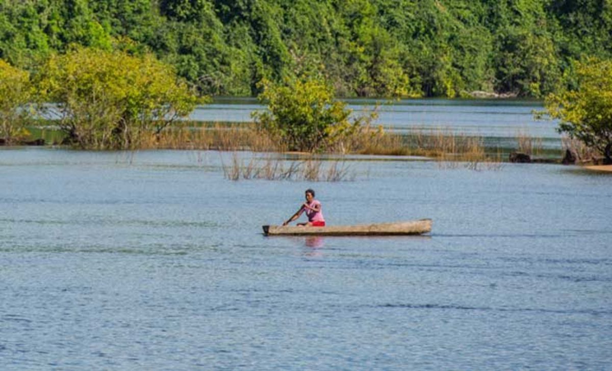 Traditional life in the Amazon could be seriously threatened if the Brazilian Congress passes legislation to gut environmental licensing for infrastructure projects, such as dams.