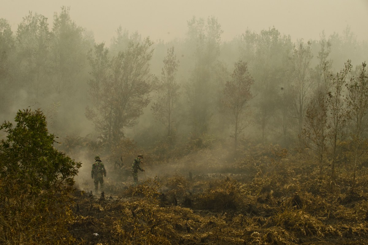 In this photograph taken on September 24th, 2015, Indonesian military troops extinguish a fire at a vast burning peat land forest in the Jabiren Raya district of Central Kalimantan province on Borneo island during President Joko Widodo's inspection of firefighting operations to control agricultural and forest fires.