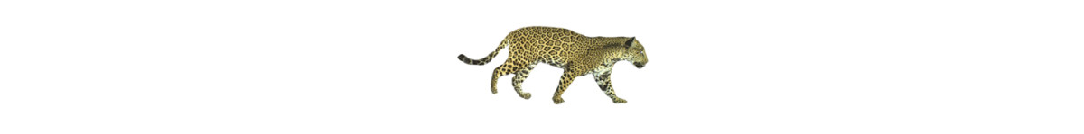 jaguar alt