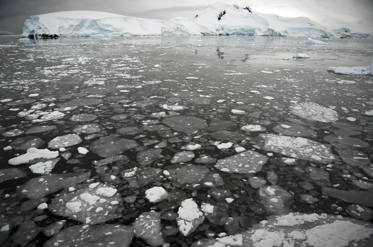 Ice floating on the sea in Antarctica.