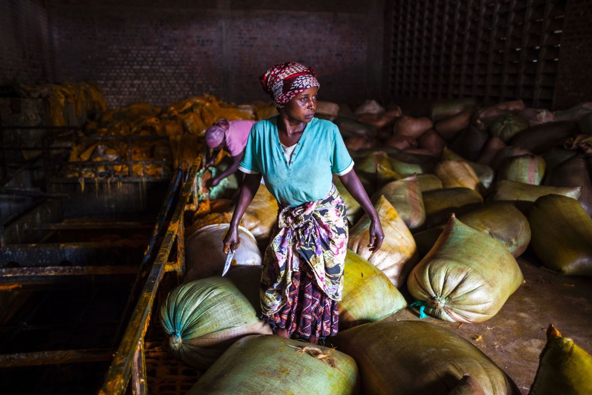A woman holds a knife as she works with sacks containing palm oil at the Crystal Soap factory in Butembo.