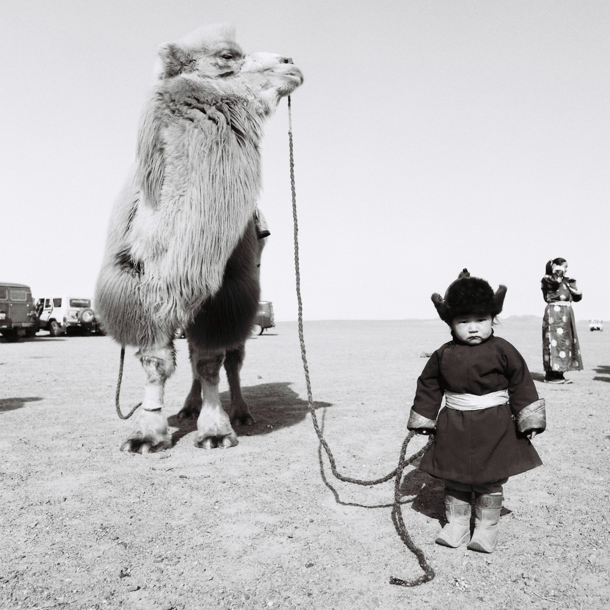 A Mongolian boy with a Bactrian camel, the two-humped animal that lives in Central and East Asia and is shaggier than its desert-dwelling, single-humped counterpart.