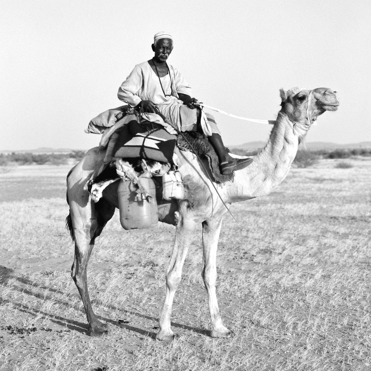 Baballah Ali, a Kababish tribesman, has an intimate knowledge of the desert and his fellow pastoralists traveling through it. They migrate north in the wet season and south in the dry season, covering hundreds of miles.