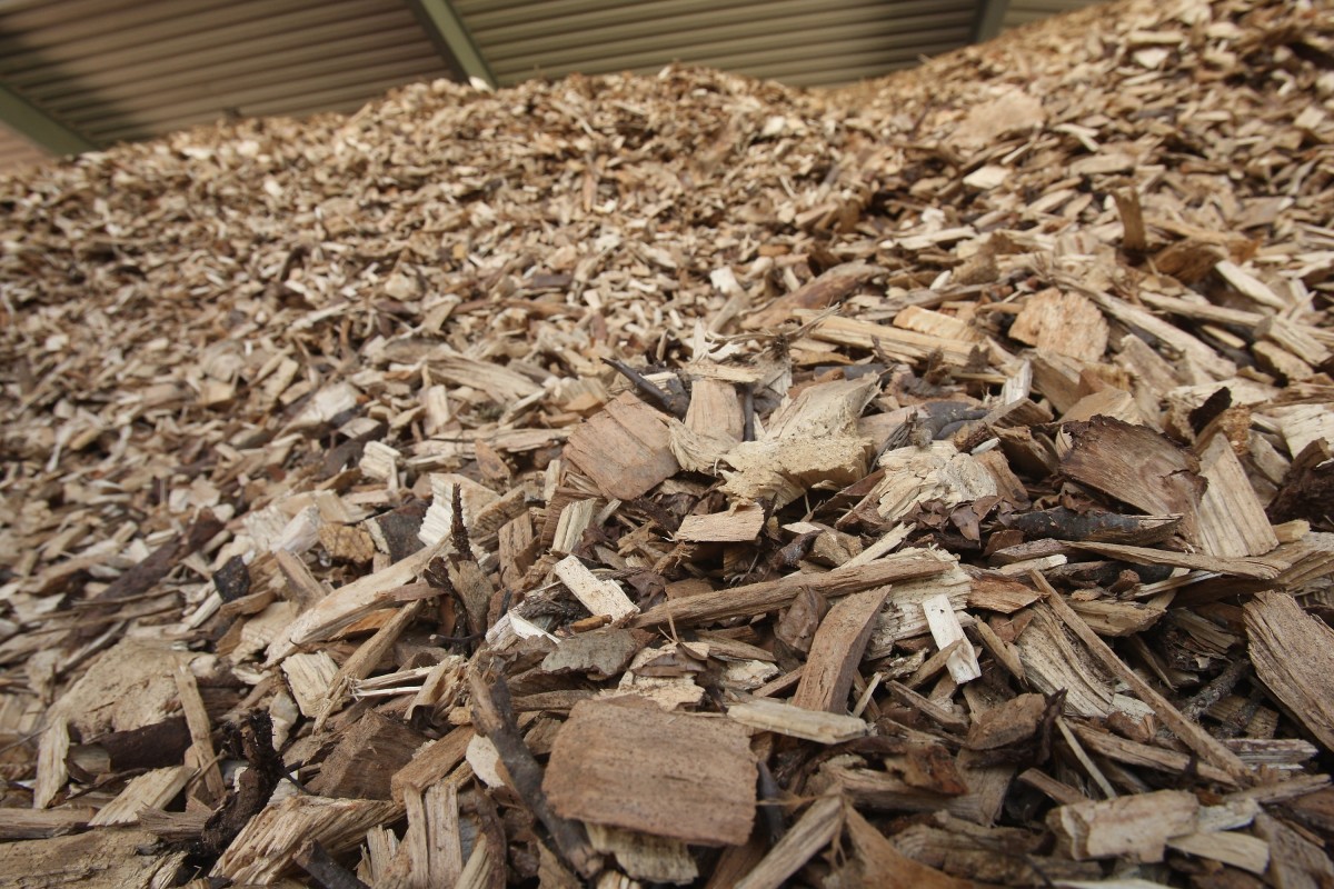 Dried wood chips lie in a pile at a local bioenergy plant.