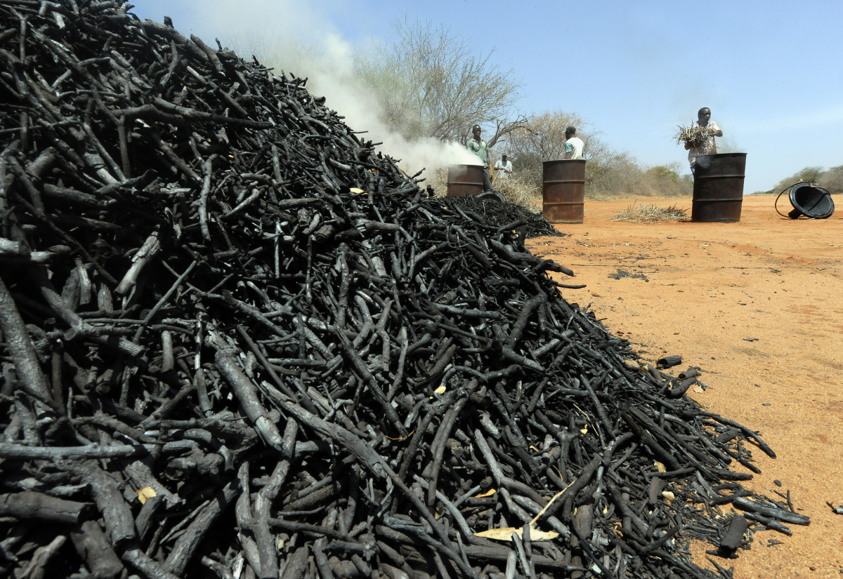 A man makes charcoal from twigs pruned from local forest during a controlled charcoal-making exercise.