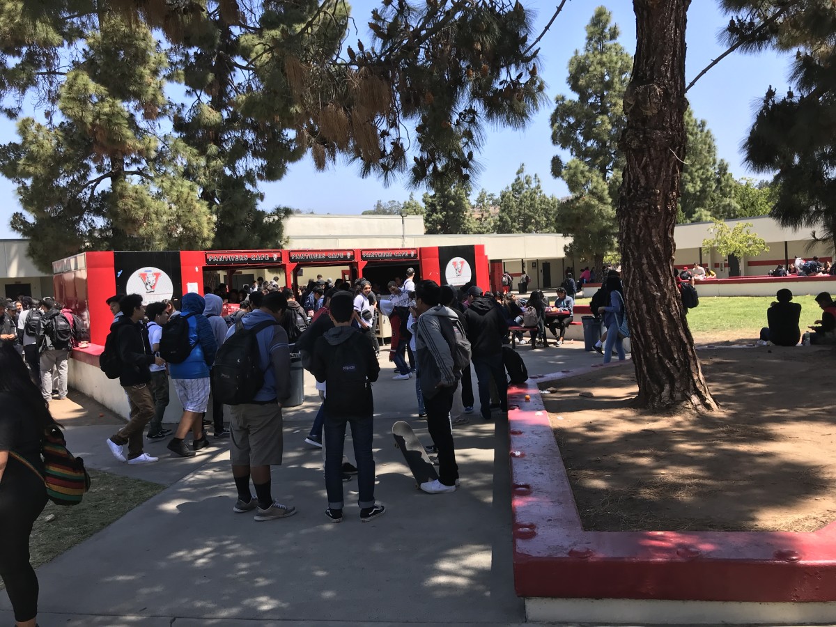 Vista's large freshman class was broken down into houses as part of the transformation, creating closer relationships and more interdisciplinary learning.