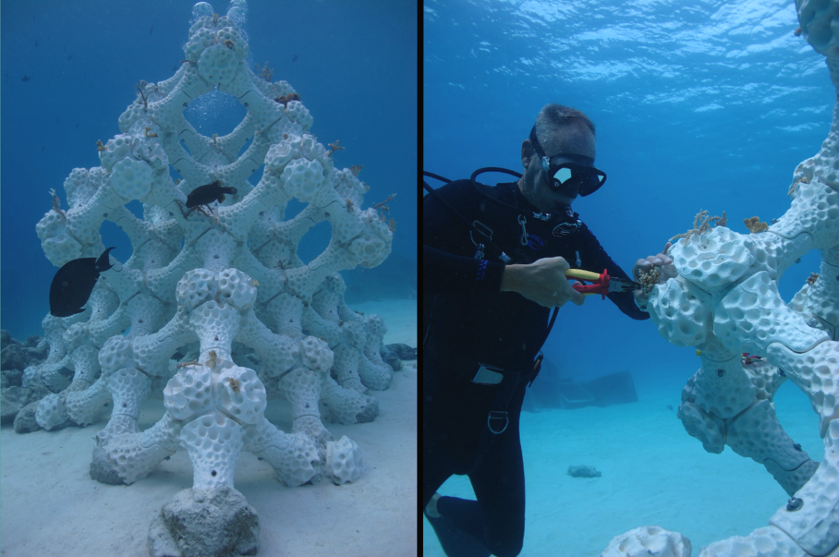 Left: Reef Design Lab's newest Modular Artificial Reef Structure in the Maldives stands 8.2 feet tall with a 13-square-foot footprint. Right: 3-D printing reefs allows researchers to experiment with restoration methods, such as how coral fragments are attached to reefs (here, using zip ties).