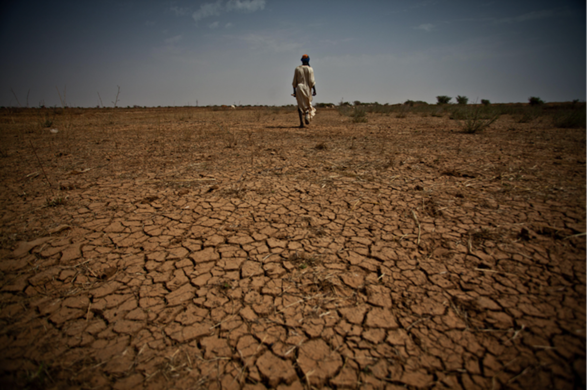 Extreme events like a prolonged drought in the Sahel region are causing a massive environmental migration crisis.