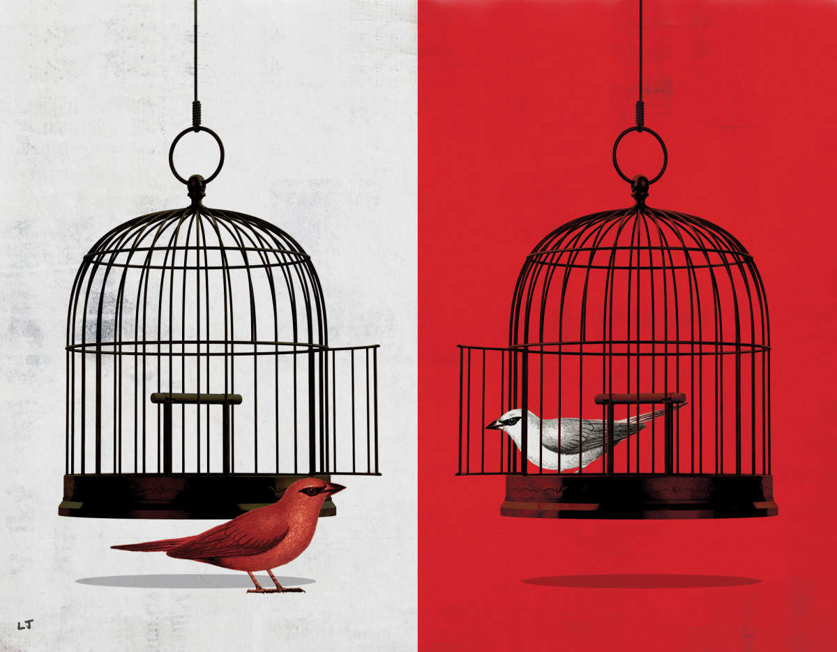 Birds in cages