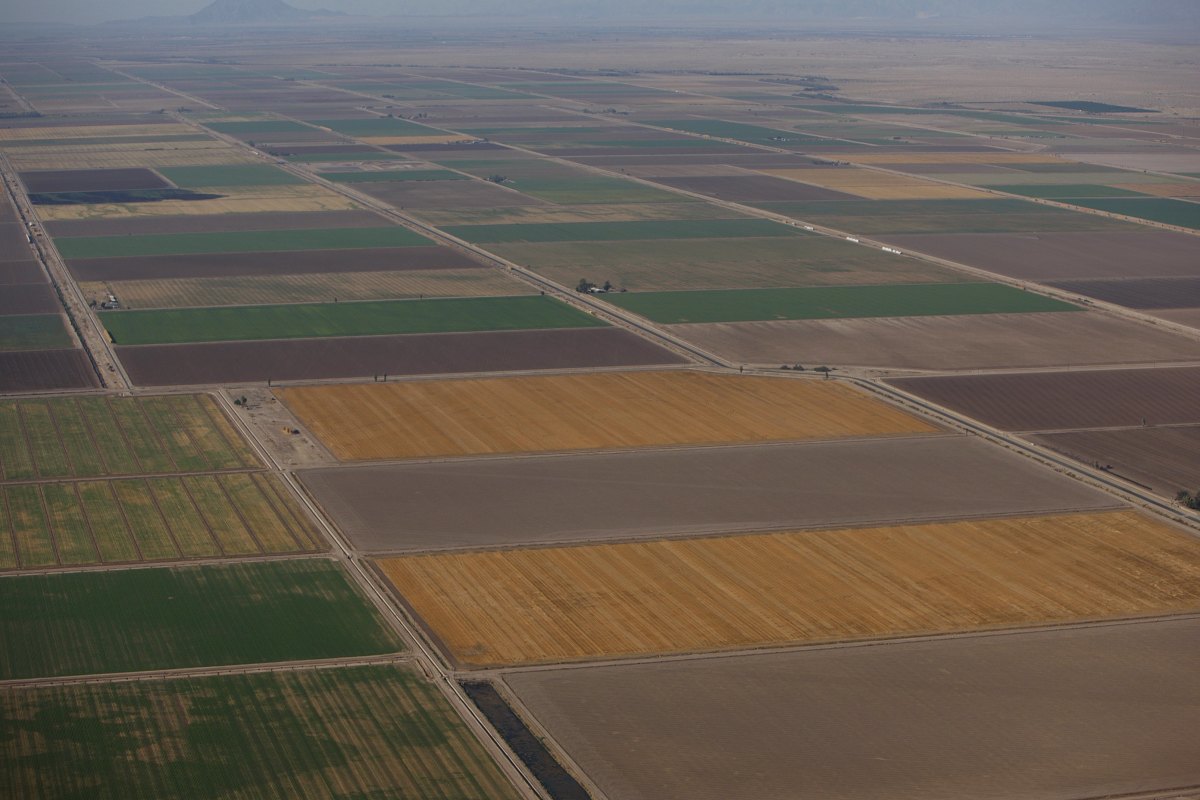 Aerial view of farmland in California's Imperial Valley.