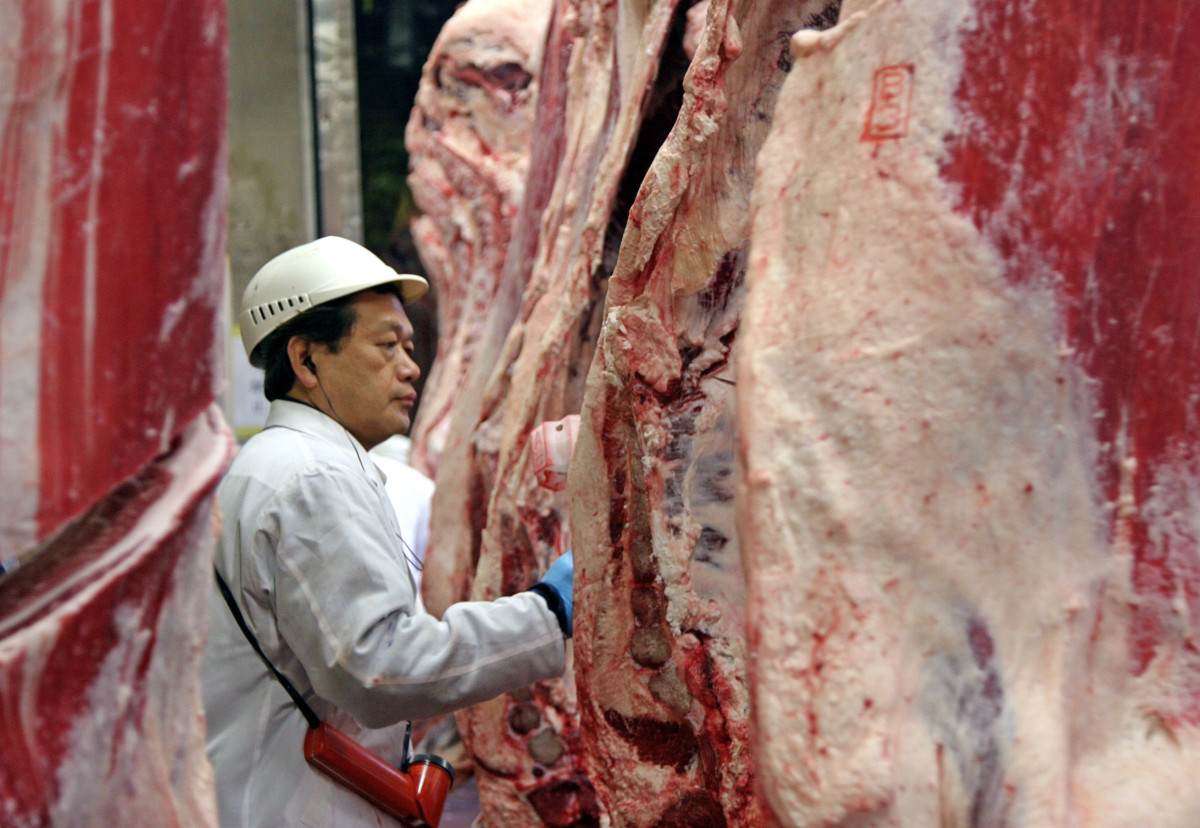 A Japanese cattle dealer checks beef meat before an auction at the Tokyo Metropolitan Central Wholesale Meat Market on July 26th, 2006.