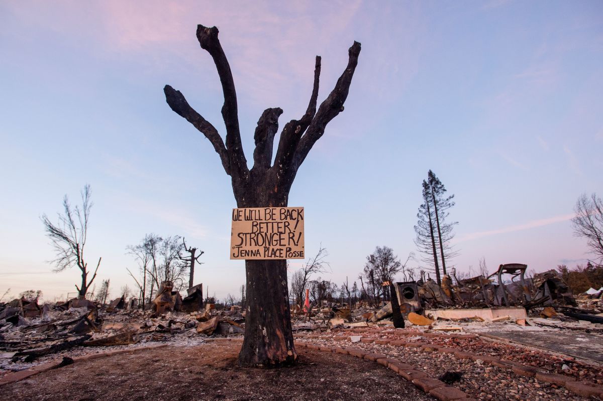 A sign of resilience posted on a tree in a charred neighborhood of Santa Rosa, California, on October 20th, 2017.