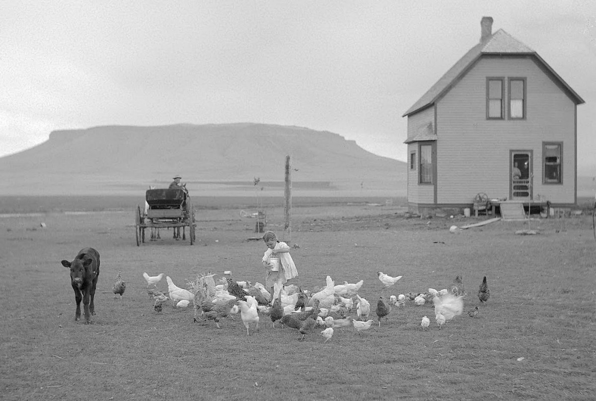 An American homestead in 1910.