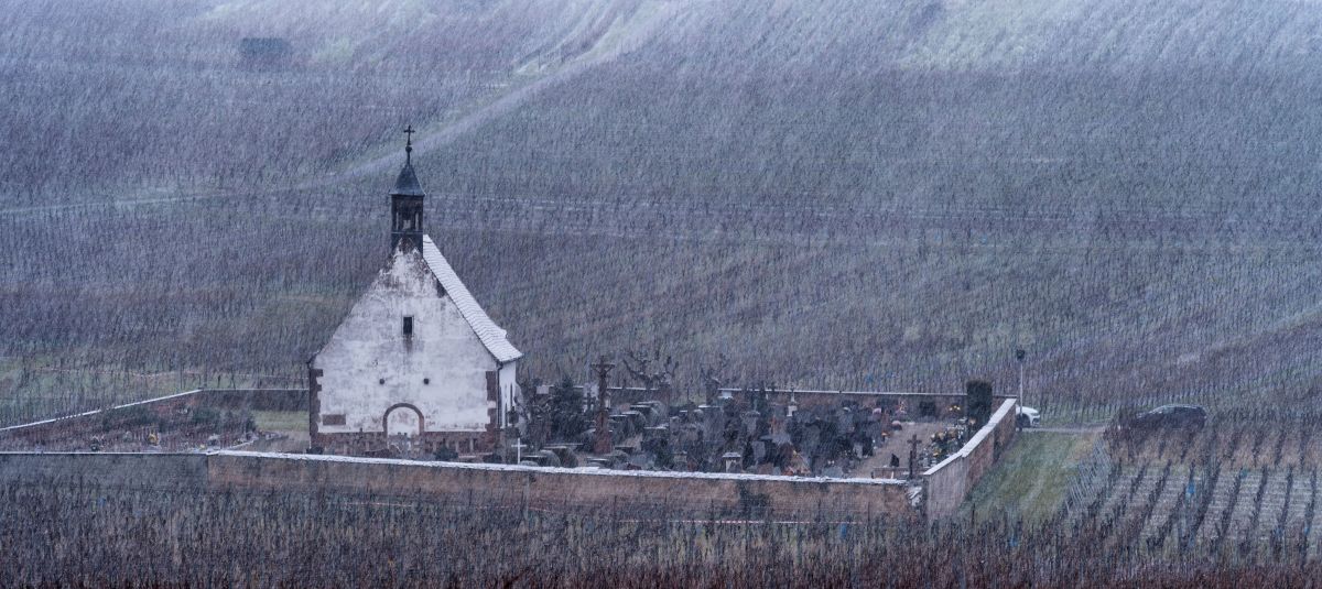 Snow covers the Saint Denis chapel and the vineyards in the village of Wolxheim, eastern France.