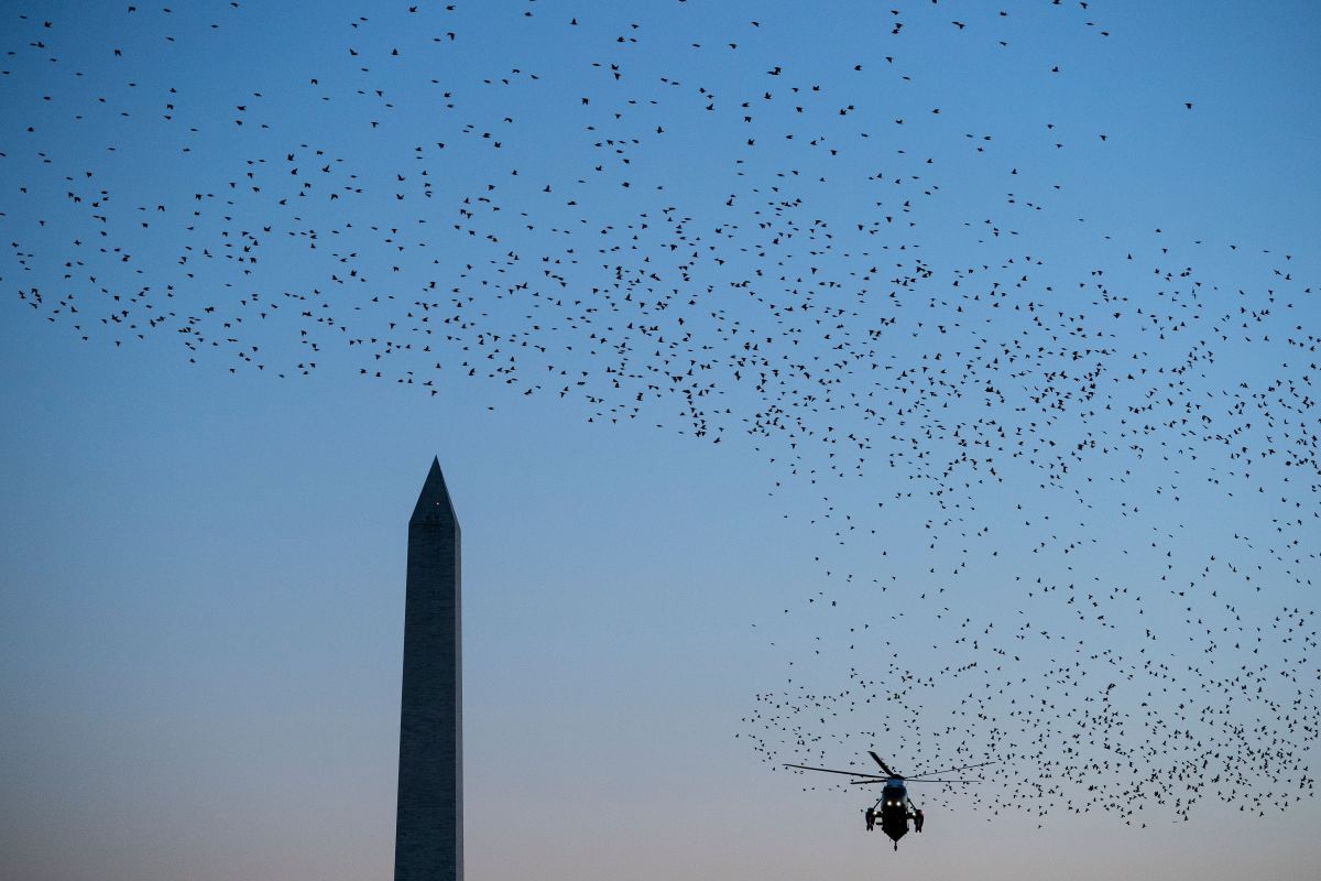 Birds fly past as Marine One, with President Donald Trump on board, lands on the South Lawn of the White House on December 21st, 2017, in Washington, D.C.