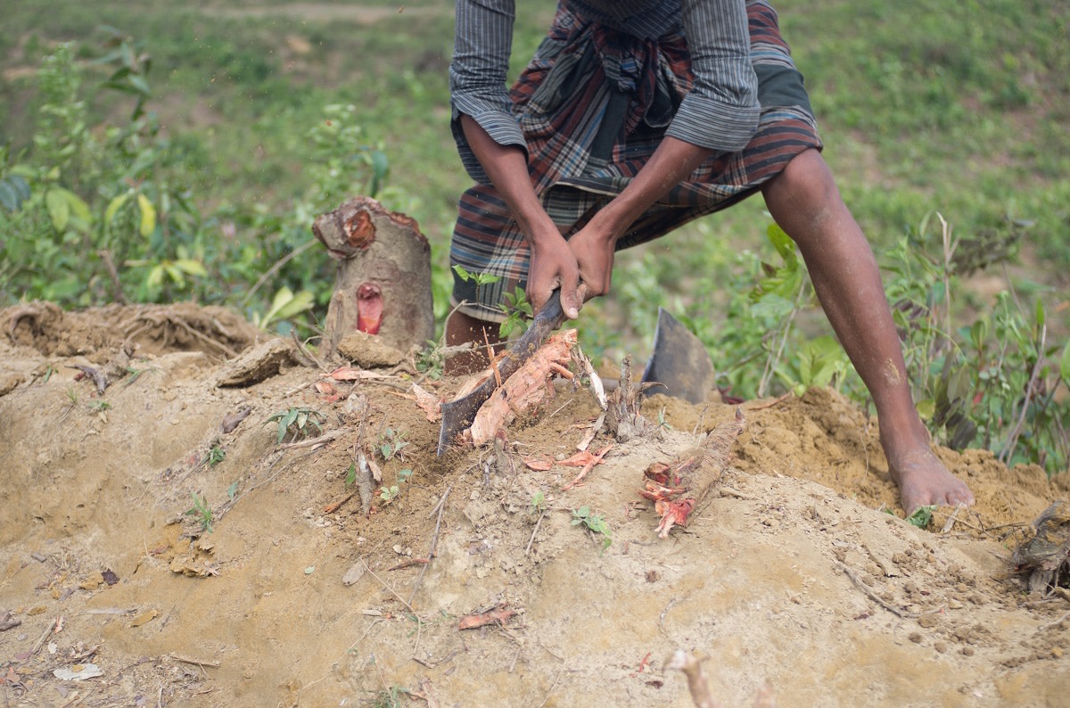 A Rohingya boy chopping wood from tree stump he freed from soil near Kutupalong-Balukhali refugee camp on Bangladesh.