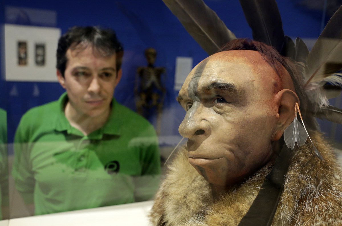 A visitor looks at El Neandertal Emplumado, a scientific recreation of the face of a Neanderthal who lived some 50,000 years ago by Italian scientist Fabio Fogliazza, at the Museum of Human Evolution in Burgos, Spain, on June 10th, 2014.