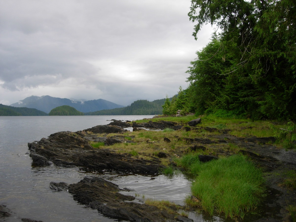 Southeast Alaska's Tongass National Forest is the largest national forest in the United States.