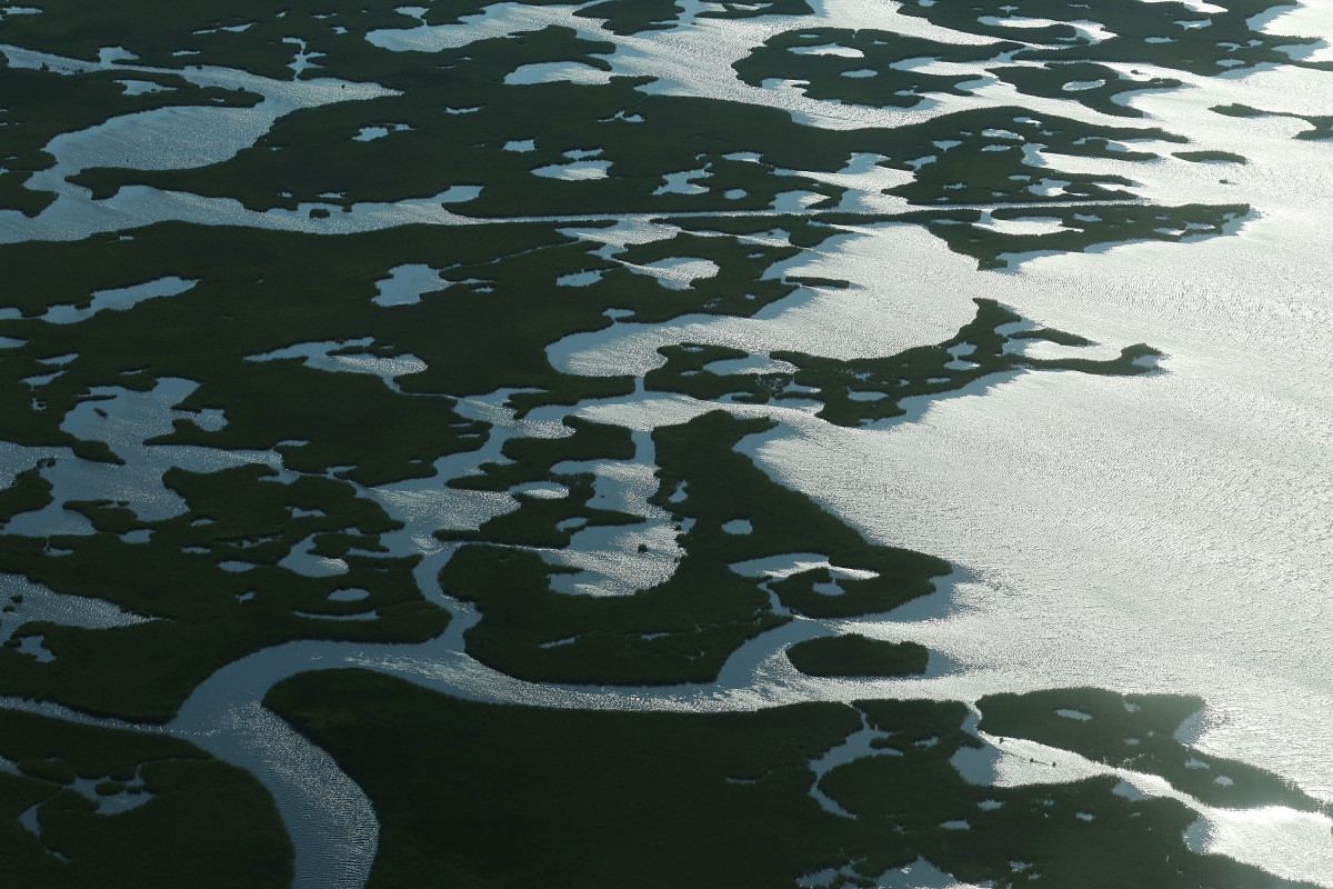Coastal waters flow through deteriorating wetlands on August 25th, 2015, in Saint Bernard Parish, Louisiana.
