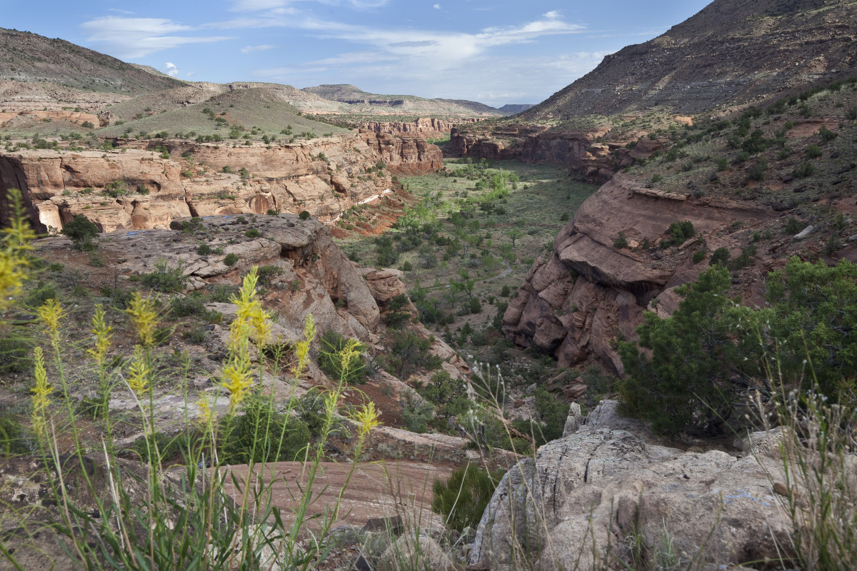 Dominguez-Escalante National Conservation Area spans 210,000 acres south of Grand Junction, Colorado.