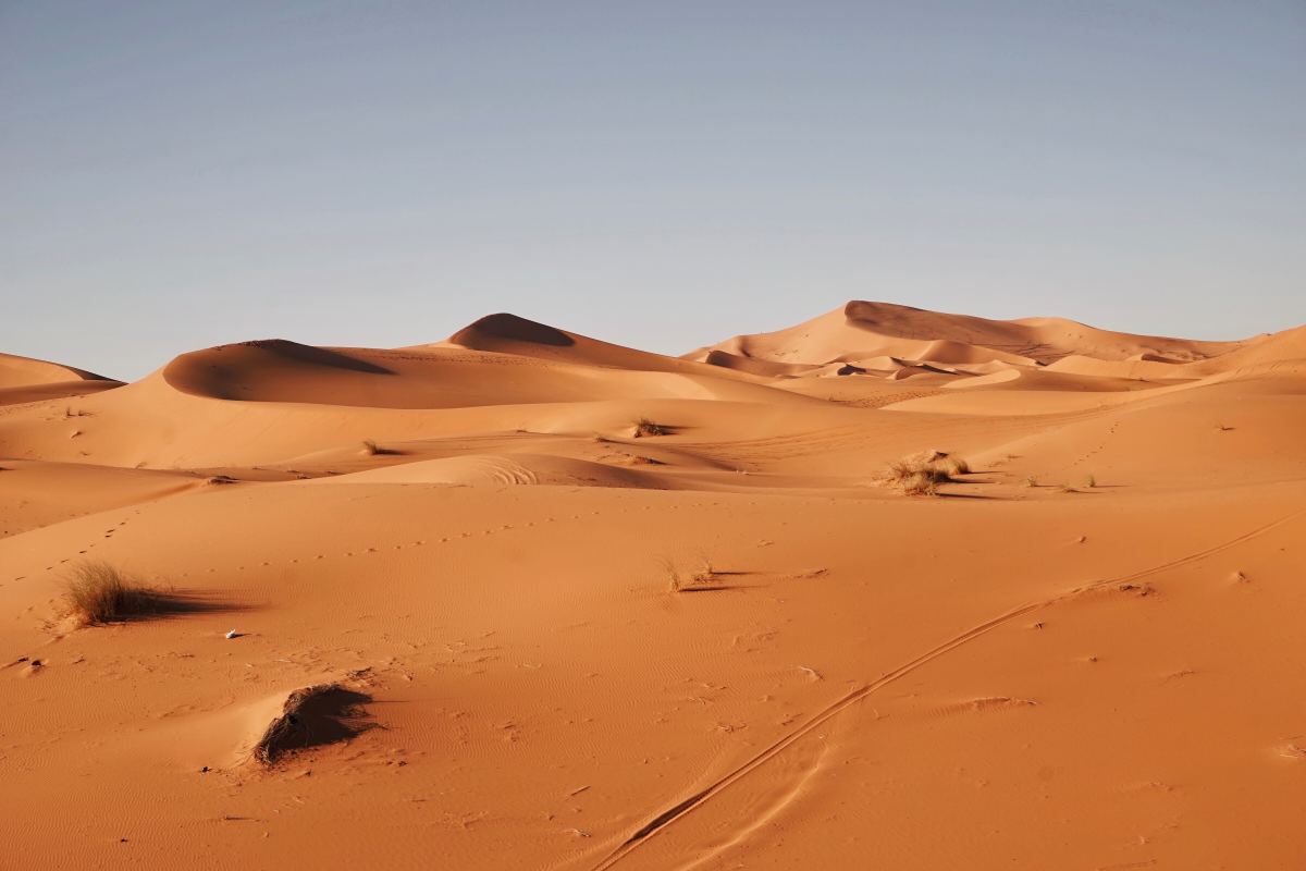Sahara Desert.
