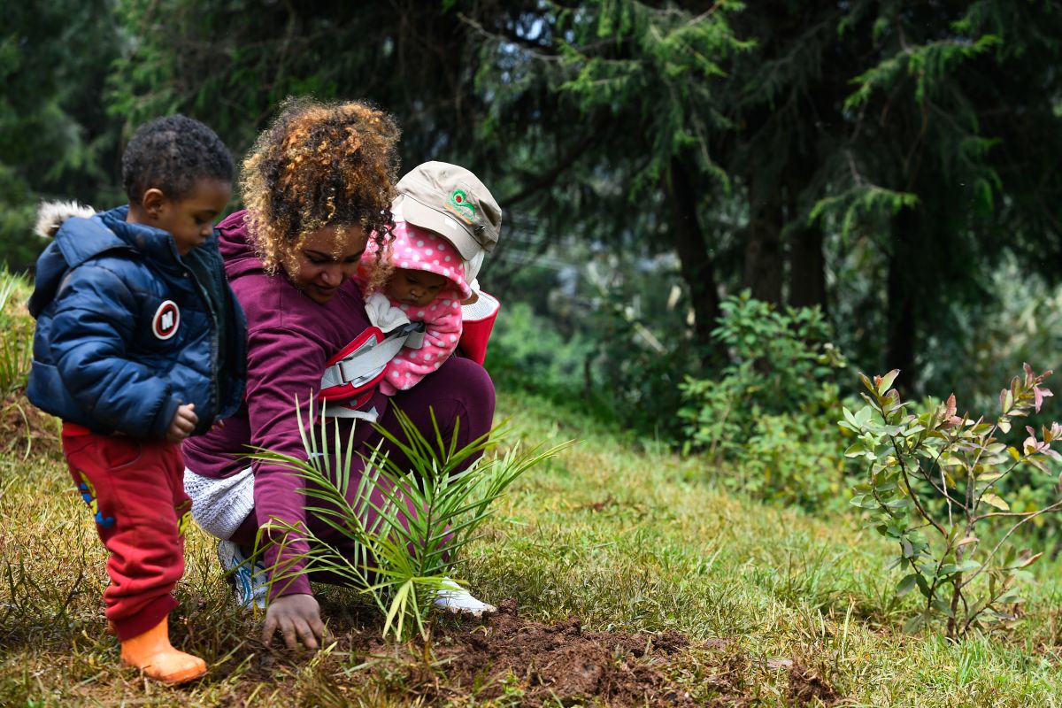 A woman with her children takes part in a national tree-planting drive in Ethiopia on July 28th, 2019. Ethiopia broke the world record for a nation planting trees in a single day by planting more than 350 million seedlings that day.