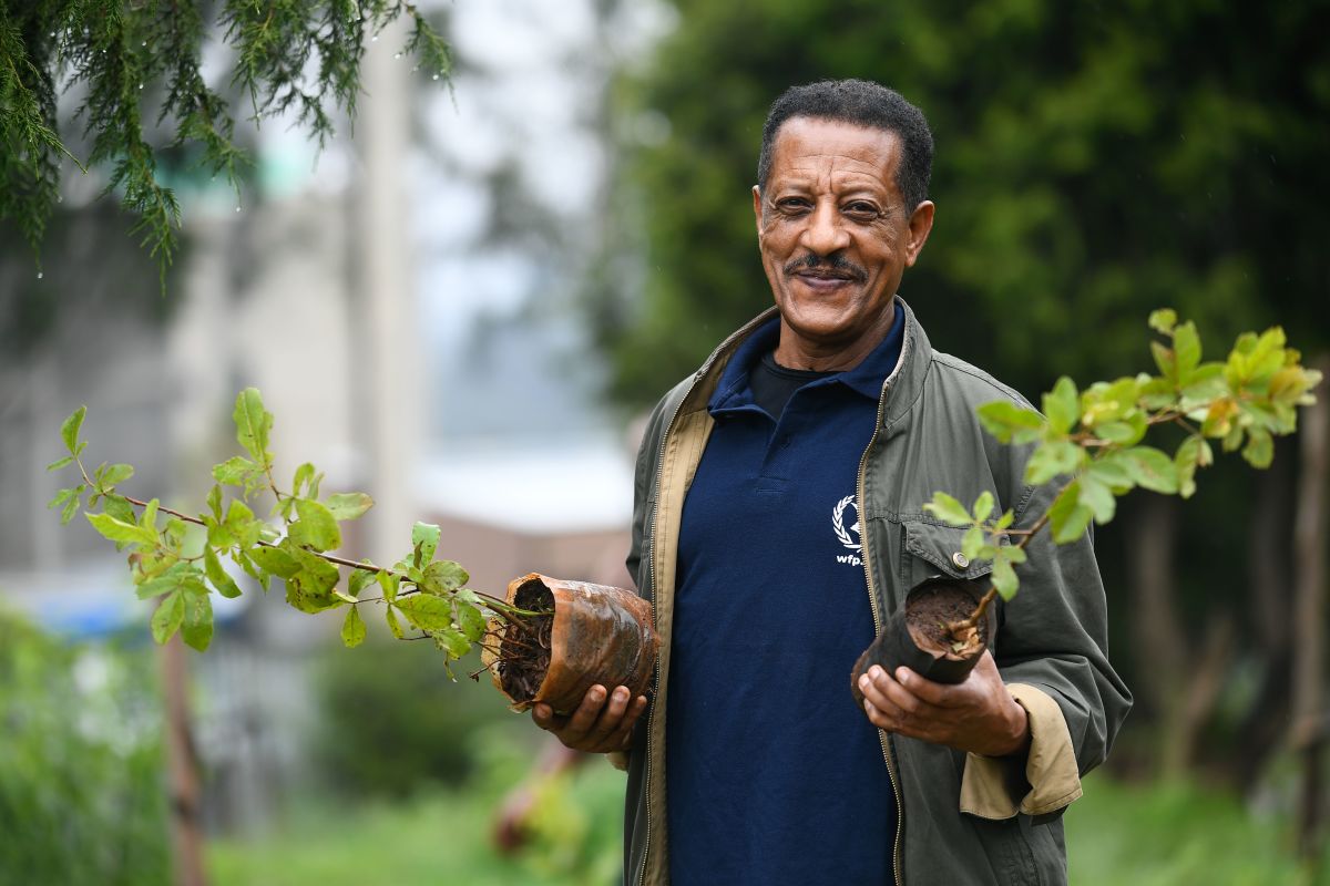 A man poses holding tree seedlings during the national tree-planting drive in the Ethiopian capital of Addis Ababa, on July 28th, 2019. More than 400 staff from the United Nations planted trees, along with staff from the African Union, and various foreign embassies in Ethiopia.
