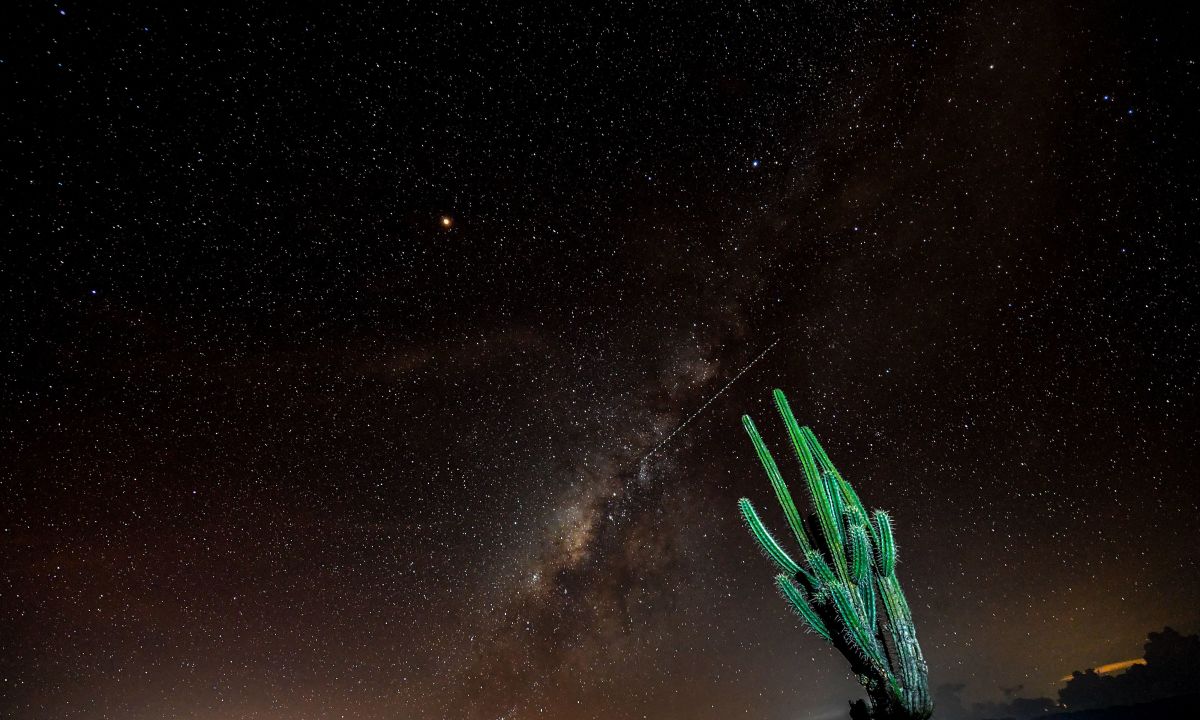 View of a prickly pear and the Milky Way in the sky over the Tatacoa Desert, in the department of Huila, Colombia, on October 11th, 2018.