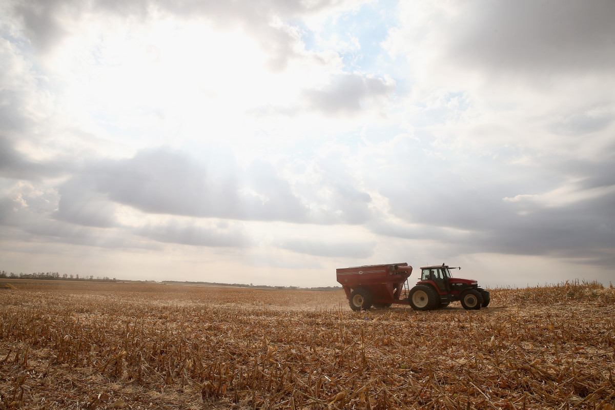 Dave Fendrich helps Bryant Hofer harvest a field of corn on October 2nd, 2013, near Salem, South Dakota.