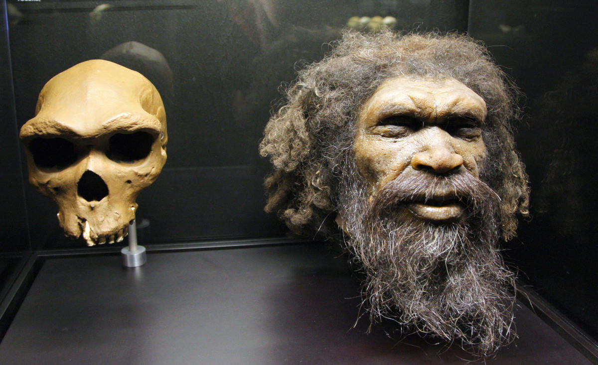 Picture taken at the Musee de l'Homme in Paris shows a reconstruction of a head of a Homo Rhodesiensis, a possible hominin species described from the fossil Rhodesian Man.