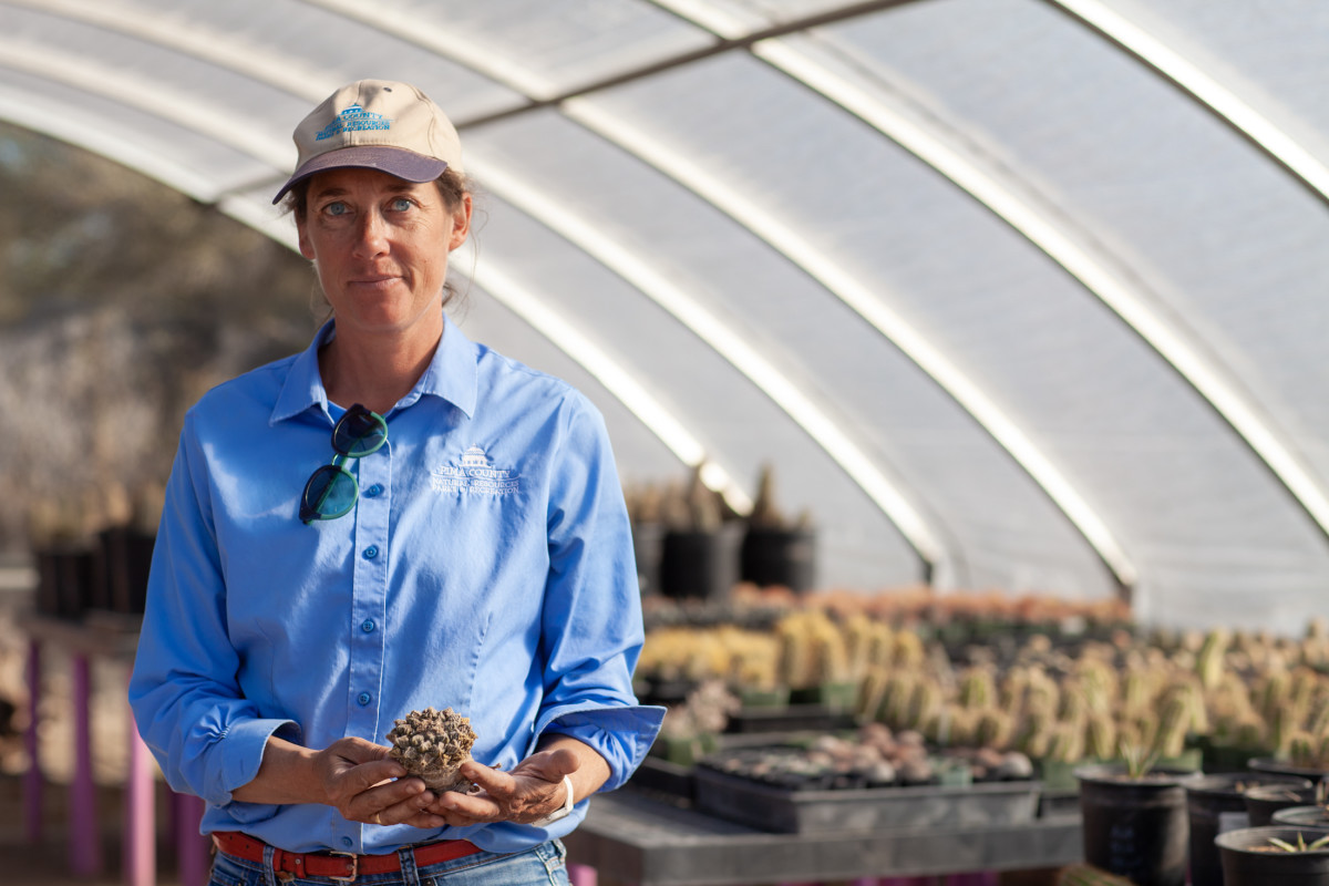 Jessie Byrd, manager for the Pima County Native Plant Nursery in Tucson, holds a Ariocarpus fissuratus, a rare plant that was confiscated from someone crossing the border.