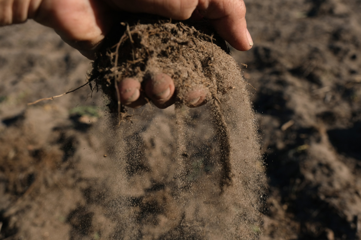 The photographer lets soil the texture of dry sand slip through his fingers at a farmer's field on April 25th, 2019, near Liebenwalde, Germany. Dry weather is leading farmers, particularly in Brandenburg state in northeastern Germany, to fear a possible drought this summer. A drought last summer hit many farmers hard. Scientists warn that soil and forests have not fully recovered, and dry weather could mean an even worse drought this summer. Firefighter associations have already appealed to the government for up to 20 additional helicopters for fighting possible forest fires.