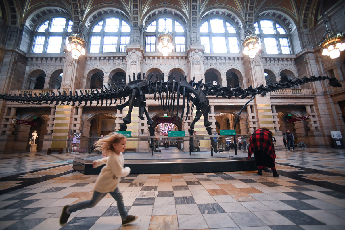 Members of the public view Dippy the dinosaur at Kelvingrove Art Gallery and Museum on January 22nd, 2019, in Glasgow, Scotland. Diplodocus carnegii, a Sauropod, was named after Andrew Carnegie, who funded the excavation in Wyoming in 1899. Dippy is one of several replicas donated by Carnegie to several countries around the world.