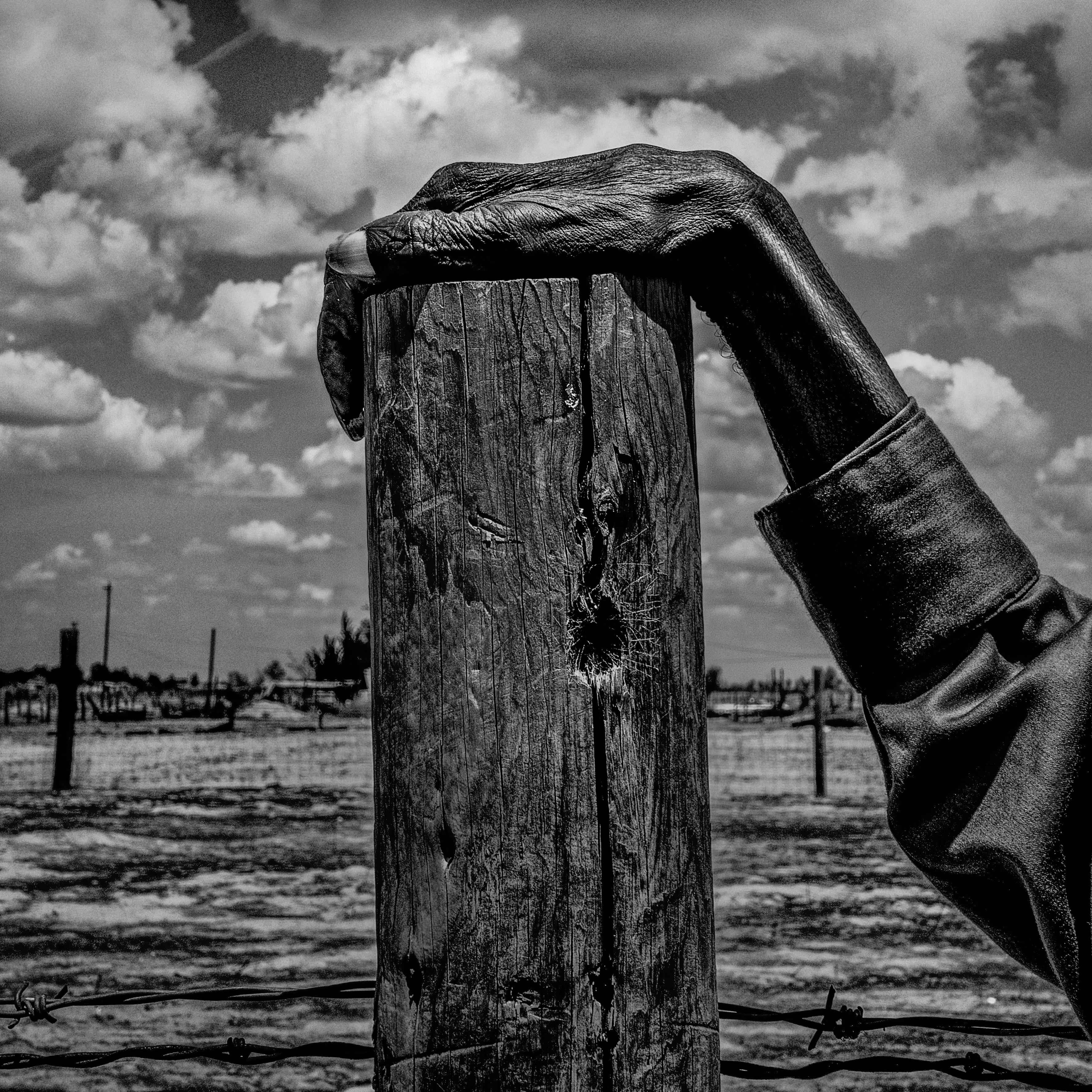 A fence post in Allensworth, California, 2014.