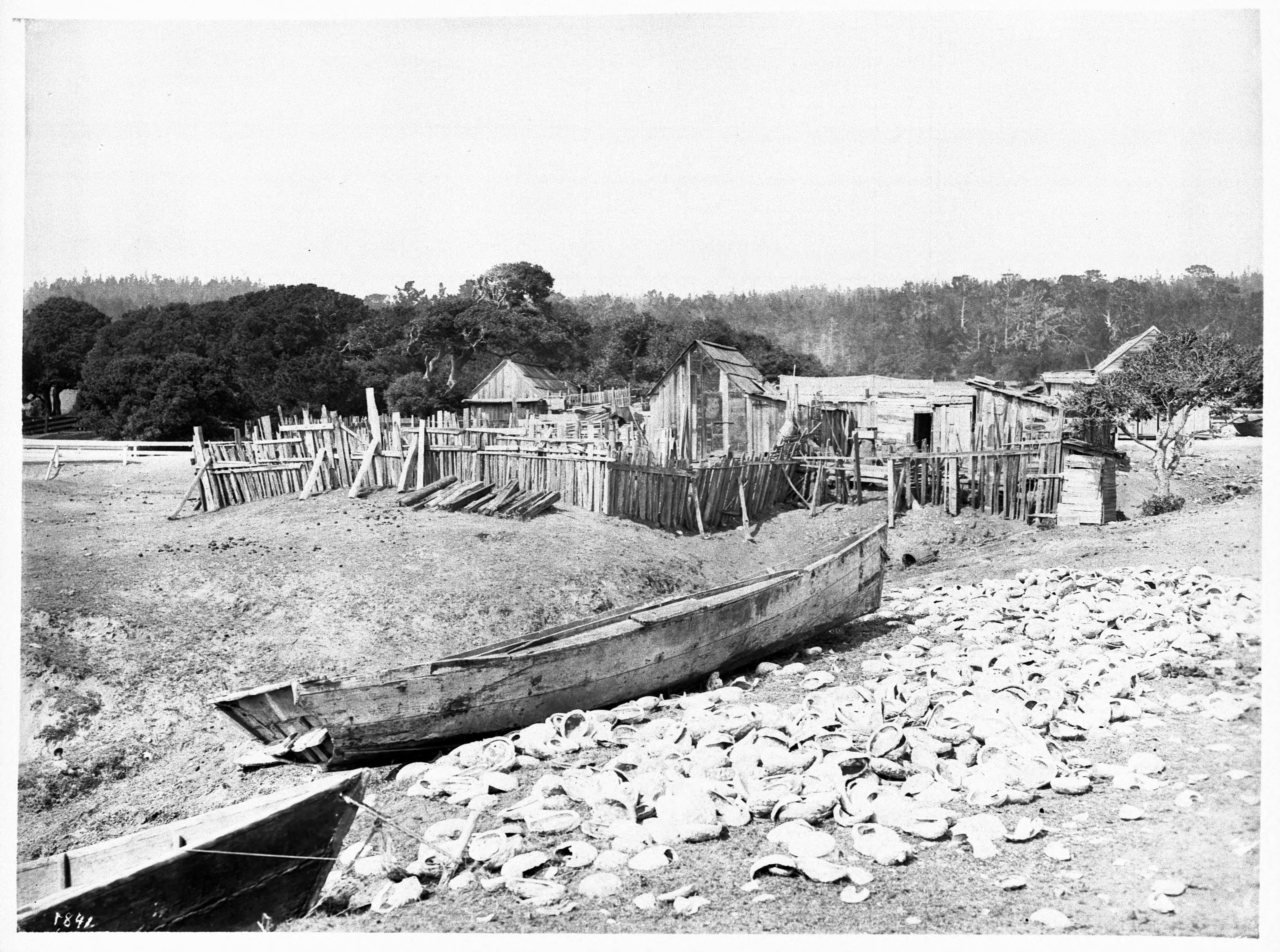 This photograph of a Chinese fishing village near Monterey, California, was taken around 1900. Discarded abalone shells litter the foreground next to two sampans—traditional boats used to forage the shoreline and transport the catch.