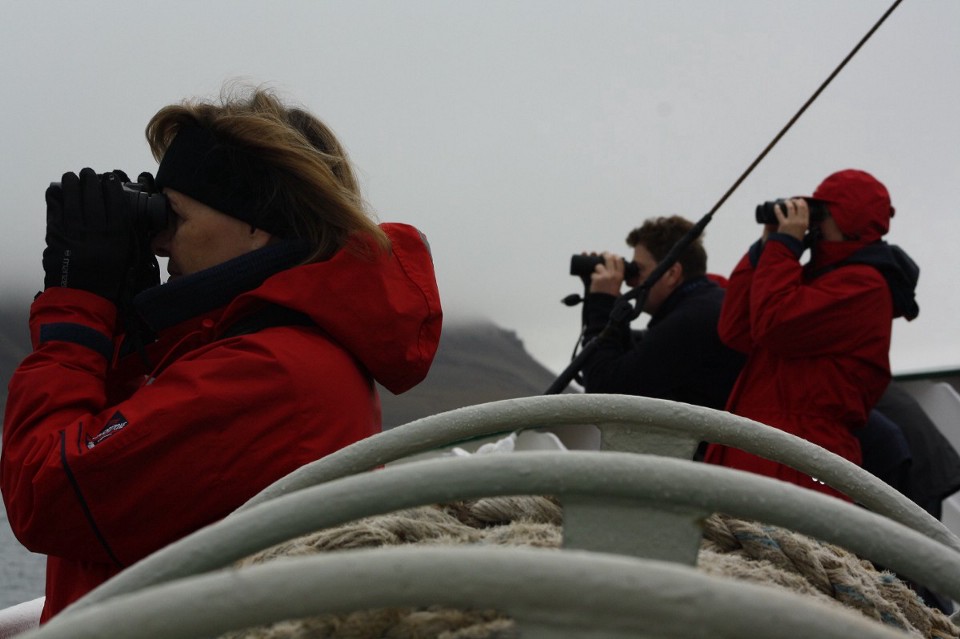 Back on board the ship, the passengers spent a lot of our time watching the sky for birds, the water for whales, and the shore and the ice pans for polar bears.