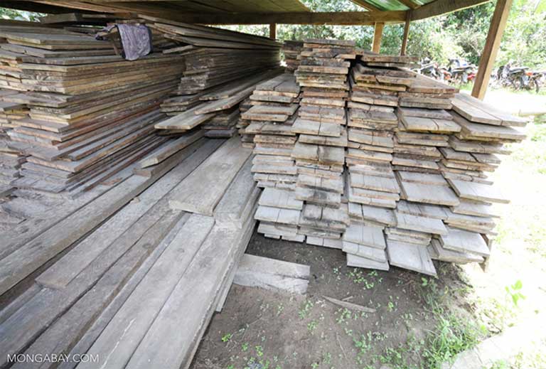 Lumber harvested illegally in Cambodia that was confiscated and stacked at a ranger station. Deforestation is rampant in Cambodia, a problem that could see less oversight by the U.S. during Trump's tenure as president.