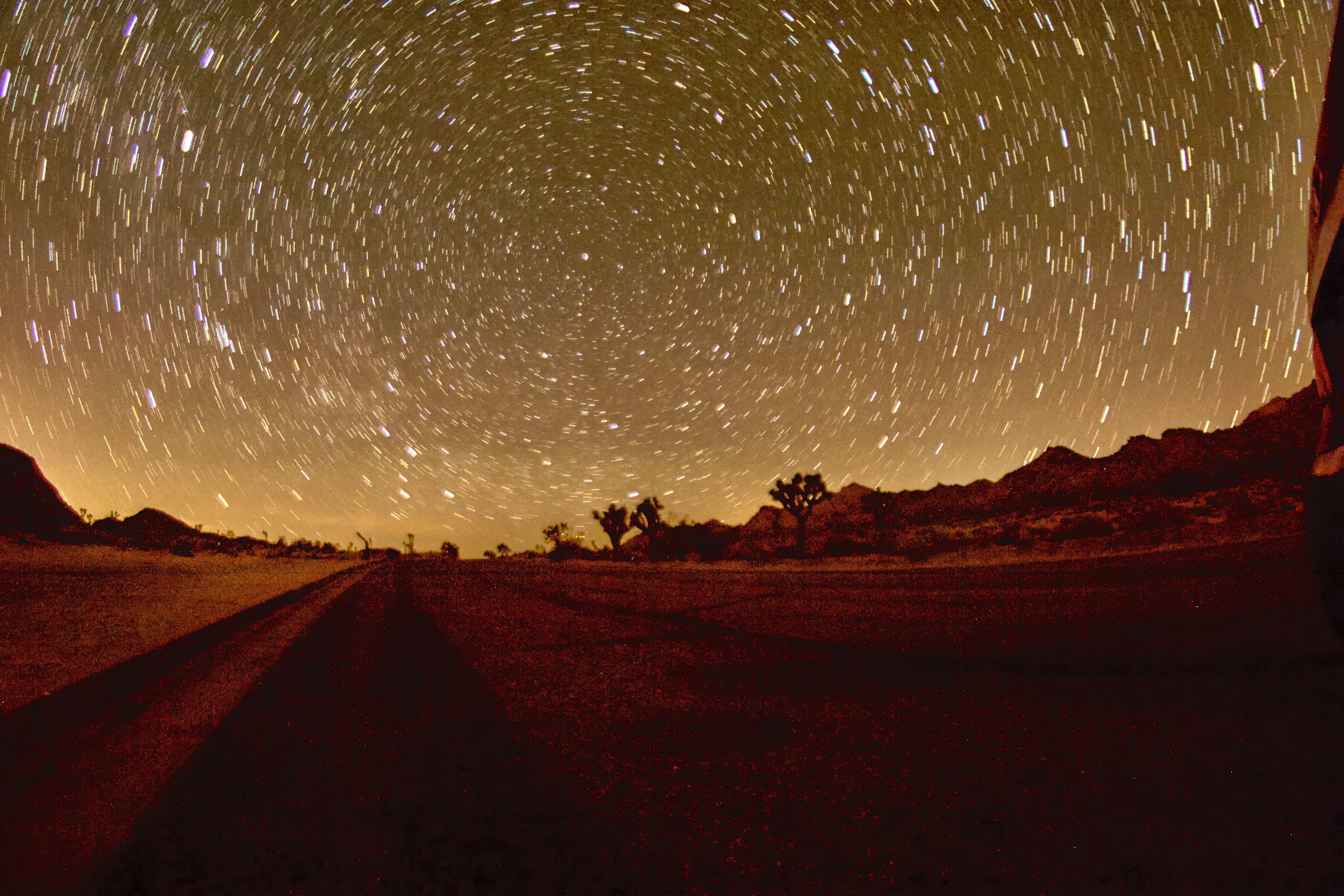 Joshua Tree National Park.