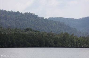 A forest along the Prek Piphot River. Dam building and illegal logging along Cambodia's major rivers are creating a serious conservation crisis for ecosystems and riverside communities. Loss of U.S. aid will only worsen these problems.