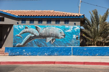 A mural of the endangered vaquita on a bathroom near downtown San Felipe, Mexico. The vaquita, although rarely ever seen, is an icon for tourism in the region.