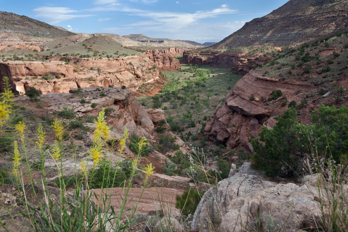 Dominguez-Escalante National Conservation Area spans 210,000 acres south of Grand Junction, Colorado.